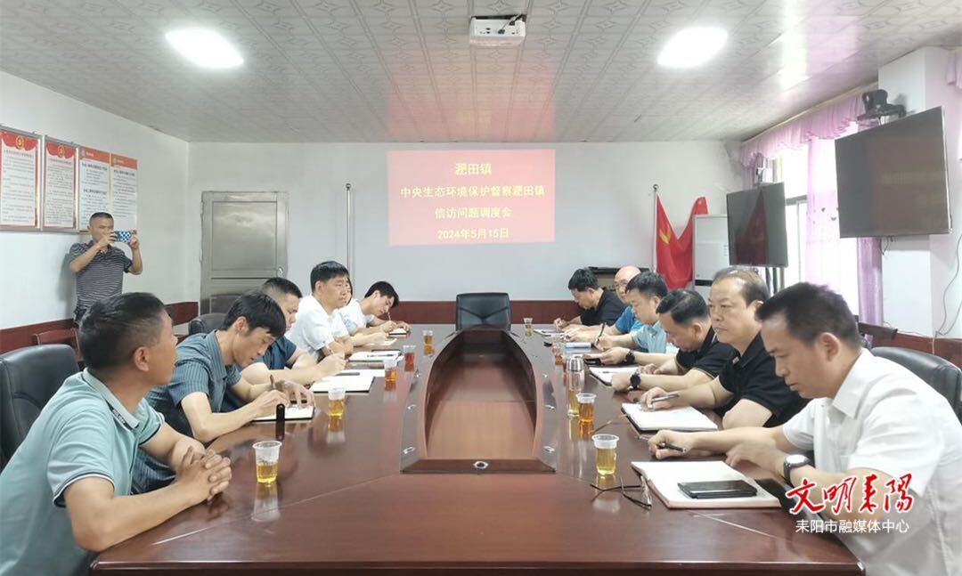耒阳立行立改 及时处理中央环保督察交办件