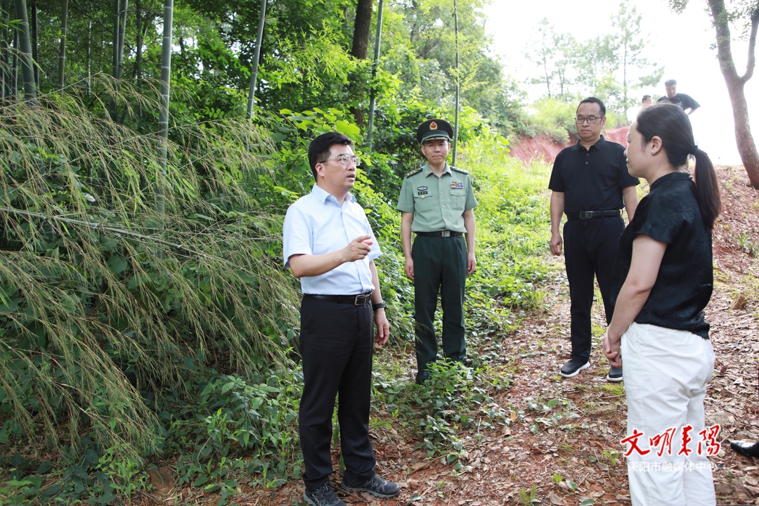 赖馨正到乡镇暗访防汛备汛和地质灾害防治等工作