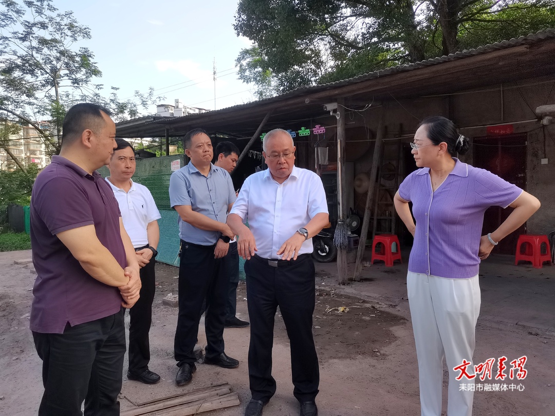 尹立鑫率队调研城市道路建设