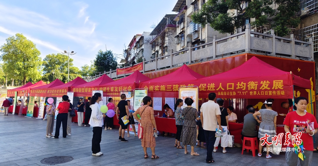 耒阳市开展“世界人口日”暨托育服务宣传活动