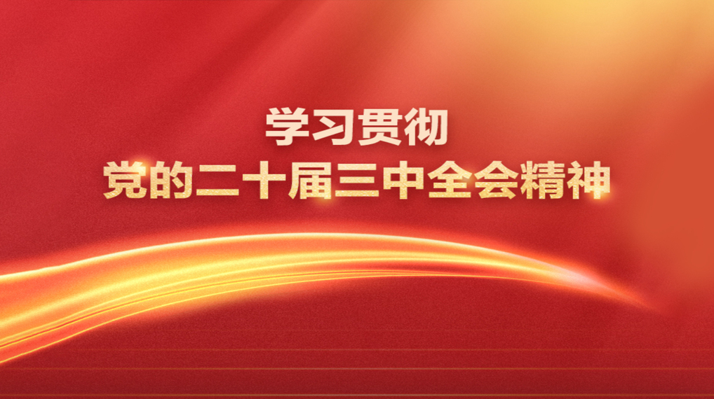 学习贯彻党的二十届三中全会精神