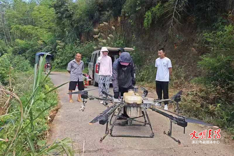 耒阳开展无人机防治黄脊竹蝗