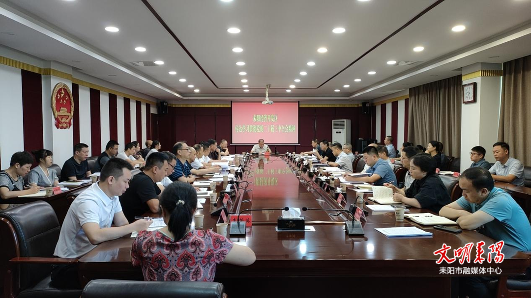 耒阳经开区传达学习党的二十届三中全会精神