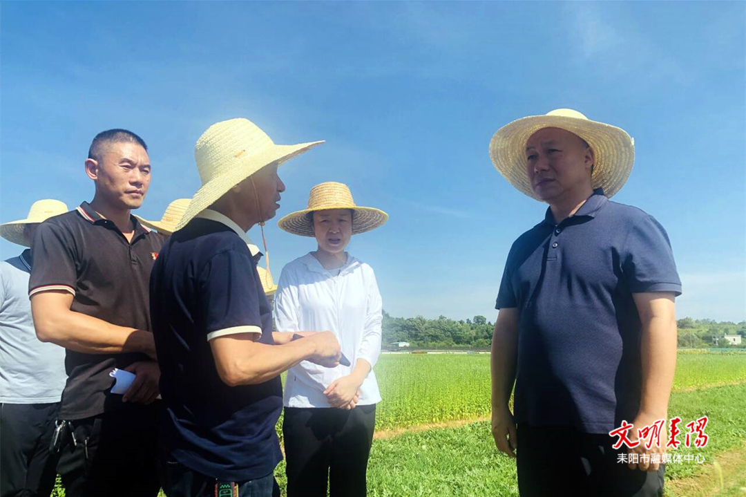 ​市领导调研粮食生产、抗旱工作