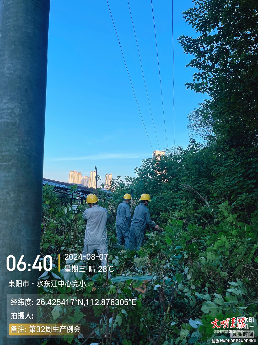国网耒阳市供电公司：清晨砍青扫障  保安全供电