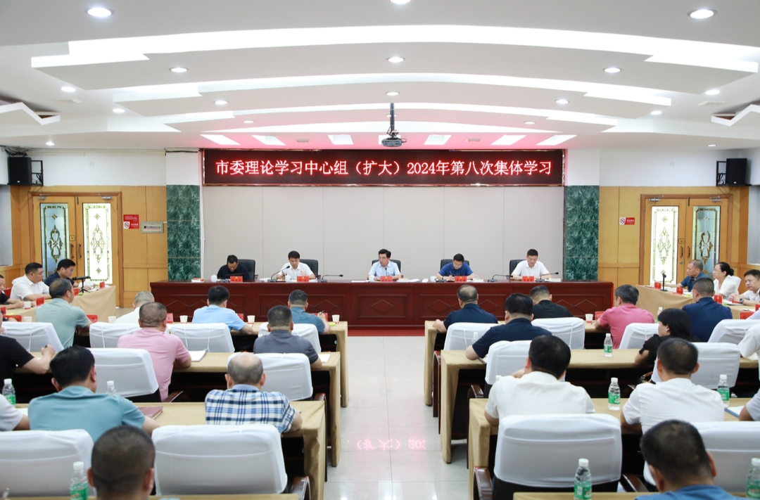 耒阳市委理论学习中心组举行2024年第八次集体学习
