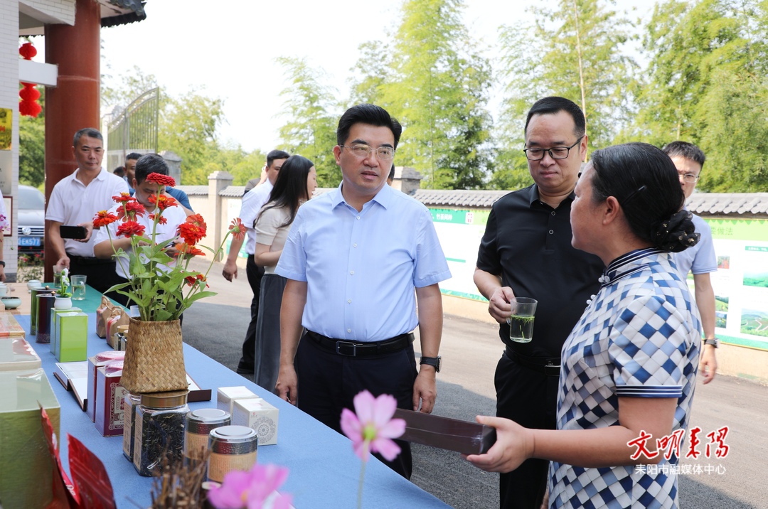 赖馨正在耒阳参加衡阳市人大代表小组主题活动