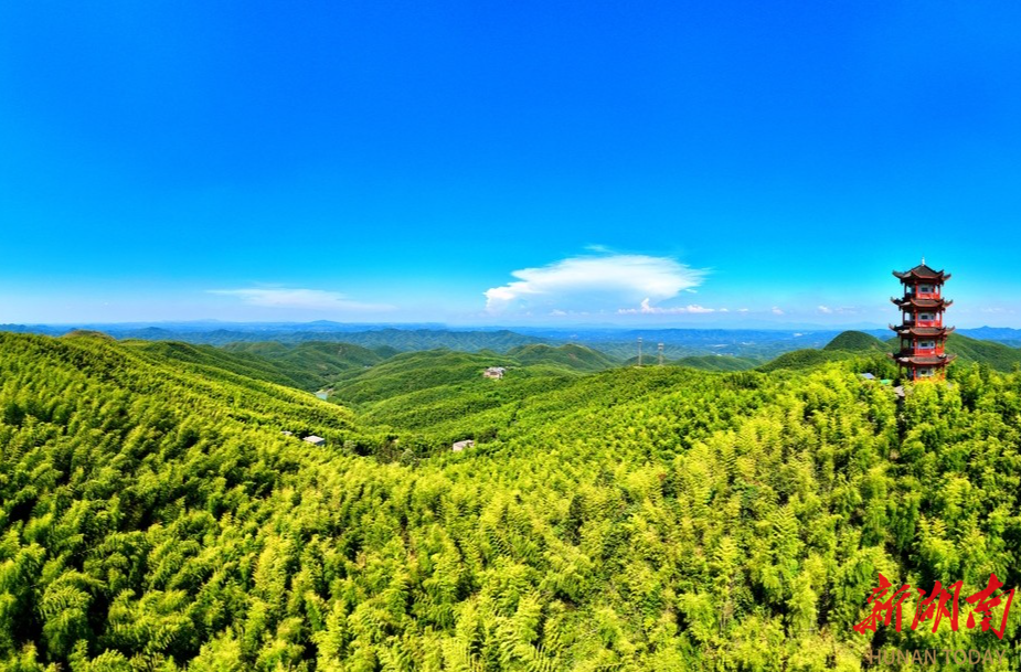 周末不忙 去趟衡阳⑥丨徜徉蔡伦竹海，倾听千年“涛声”