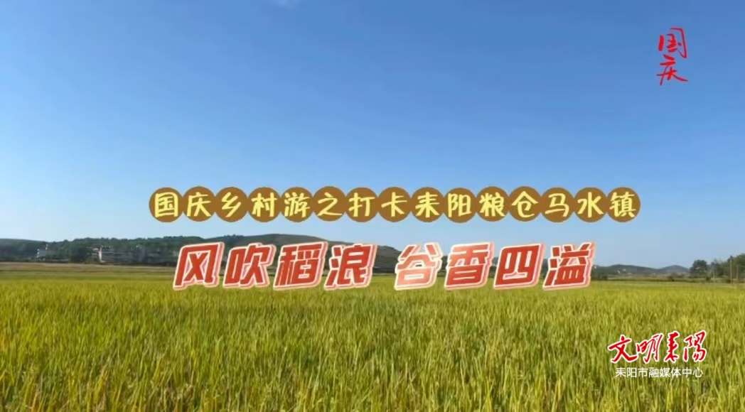 国庆乡村游之打卡耒阳粮仓马水镇