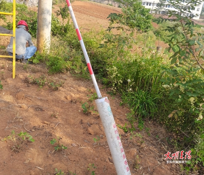 国网耒阳市供电公司：安装防护套管  护航平安丰收季
