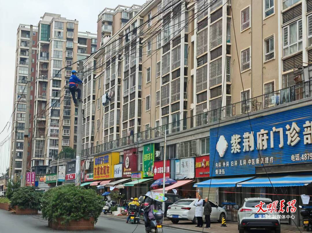耒阳市科工信局扎实办理人大代表建议 拆除闽港西路废弃通信设施