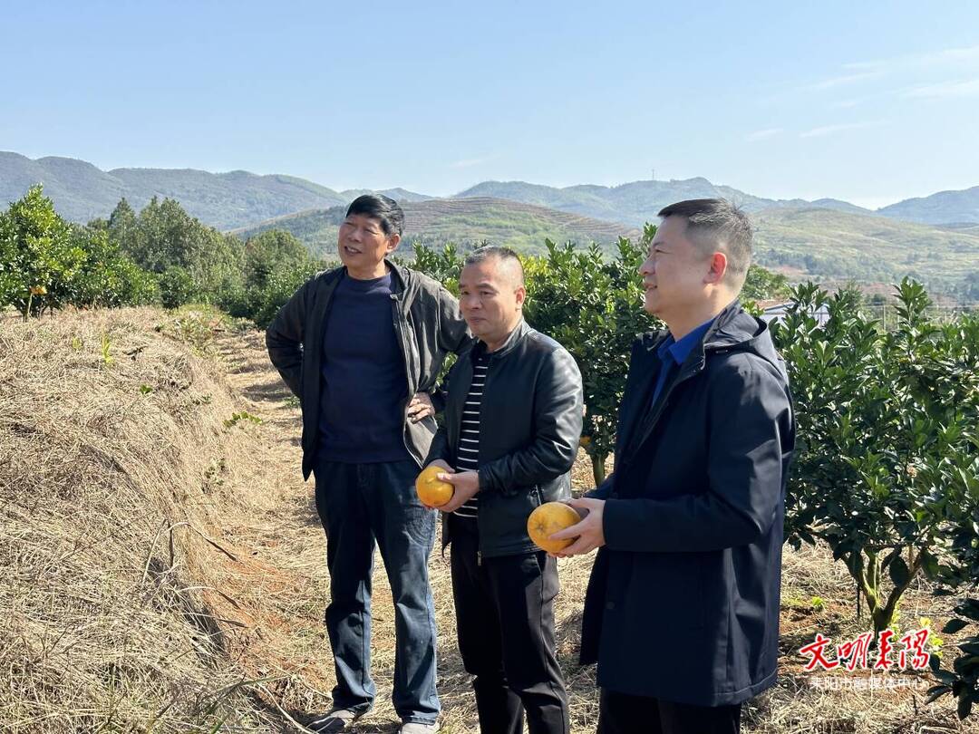张涛到仁义镇调研农业产业化发展并督导当前重点工作