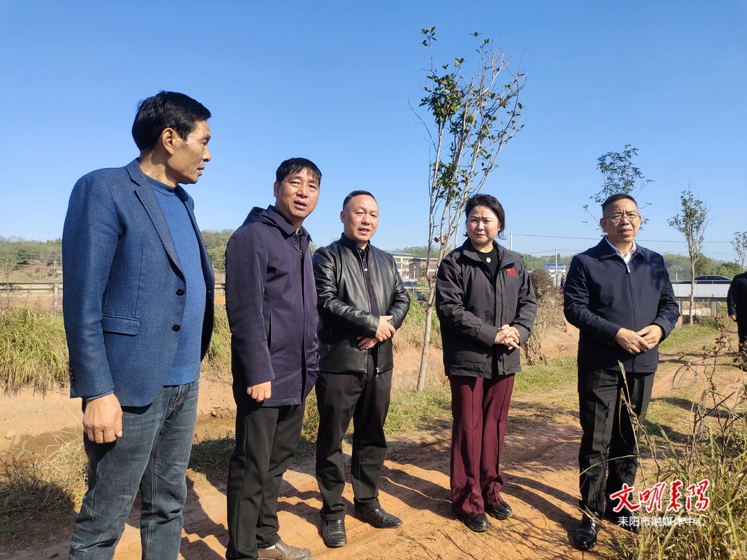 黄艳娥来耒调研农业水利项目建设并督导消防和食品安全工作