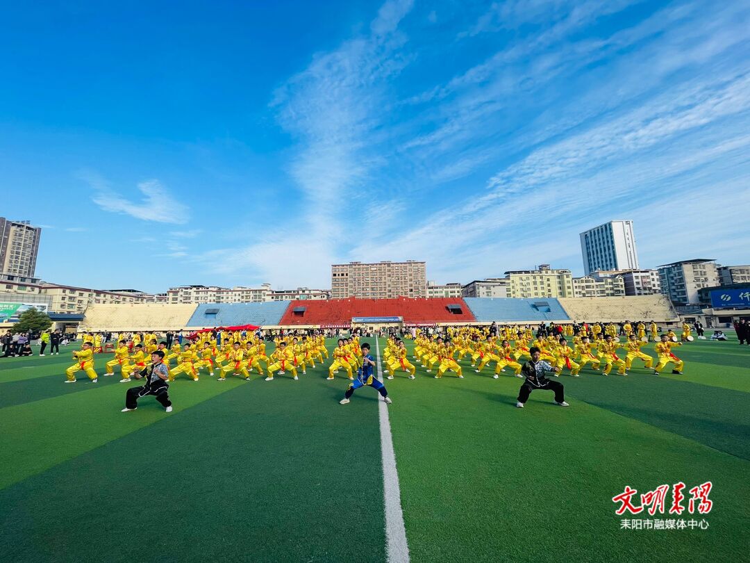2024年耒阳市中小学武术段位拳比赛举行