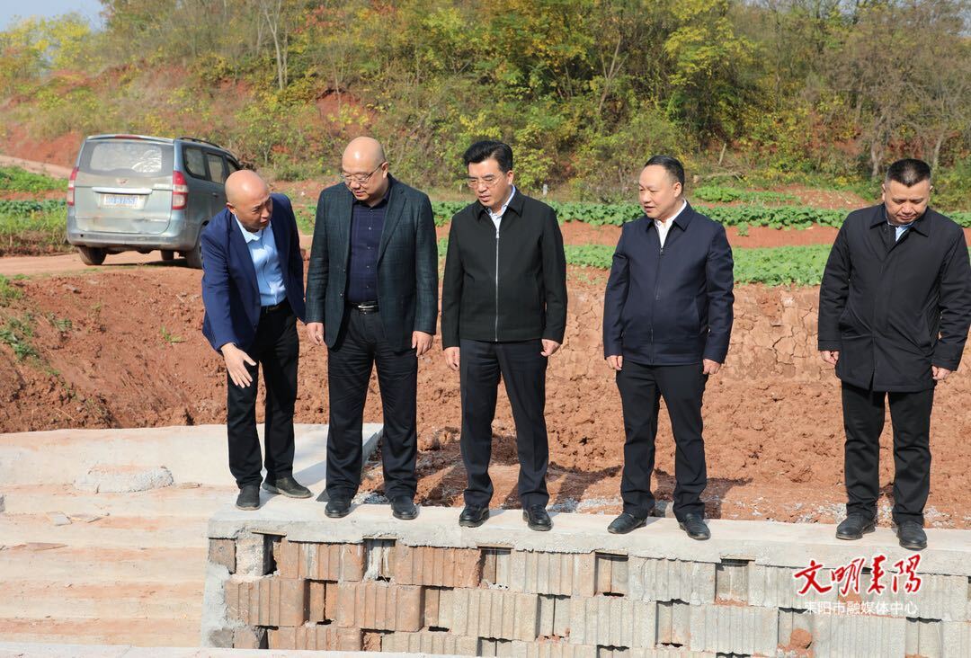 黄立来耒阳调研高标准农田项目建设和森林防火工作