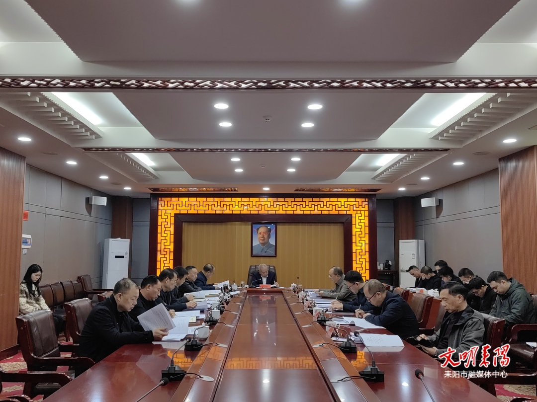 耒阳市政府党组理论学习中心组举行2024年第十一次集体学习