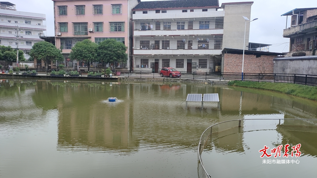黑臭水体“清零”  耒阳生态宜居焕新景