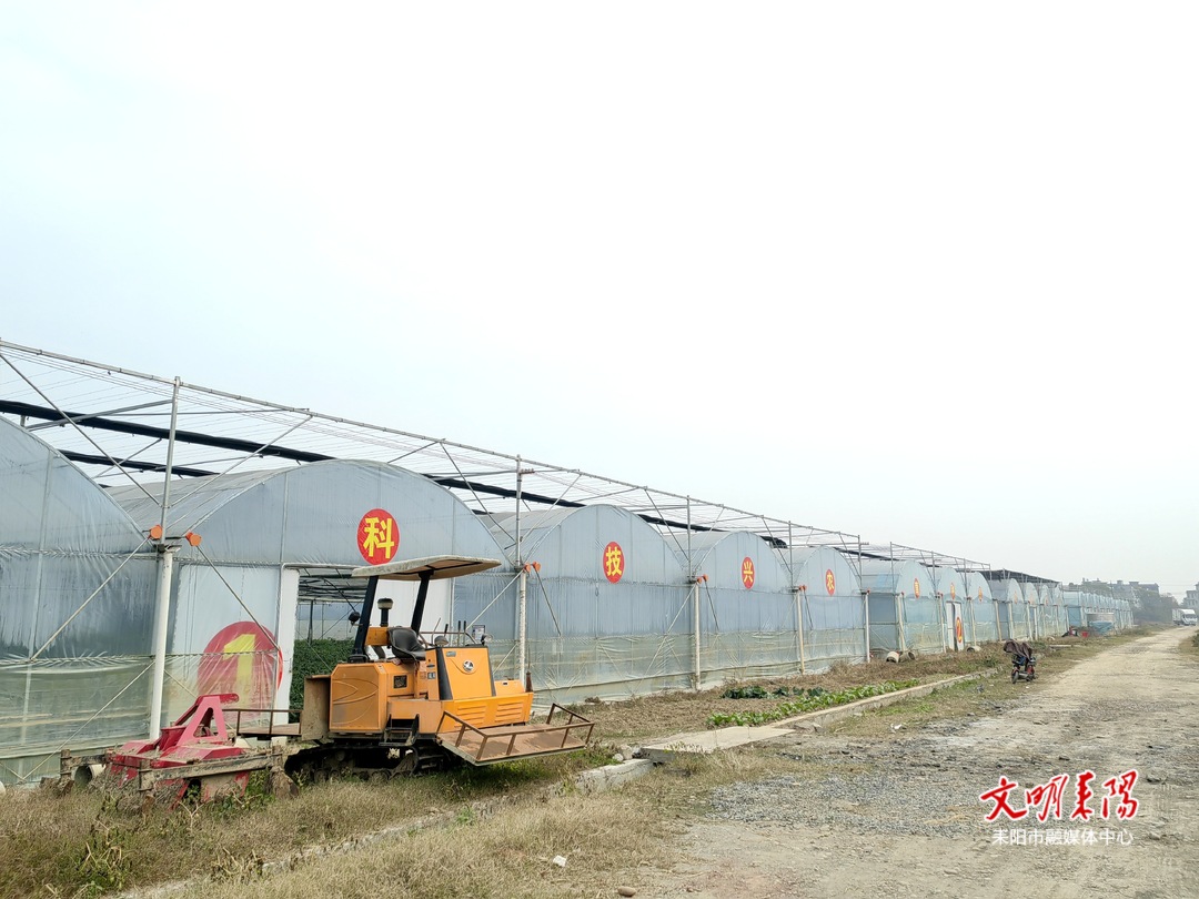 【耒水歡歌】灶市街街道零洲社區(qū):從“吃得飽”到“吃得好” 育秧工廠助力農(nóng)業(yè)機(jī)械化