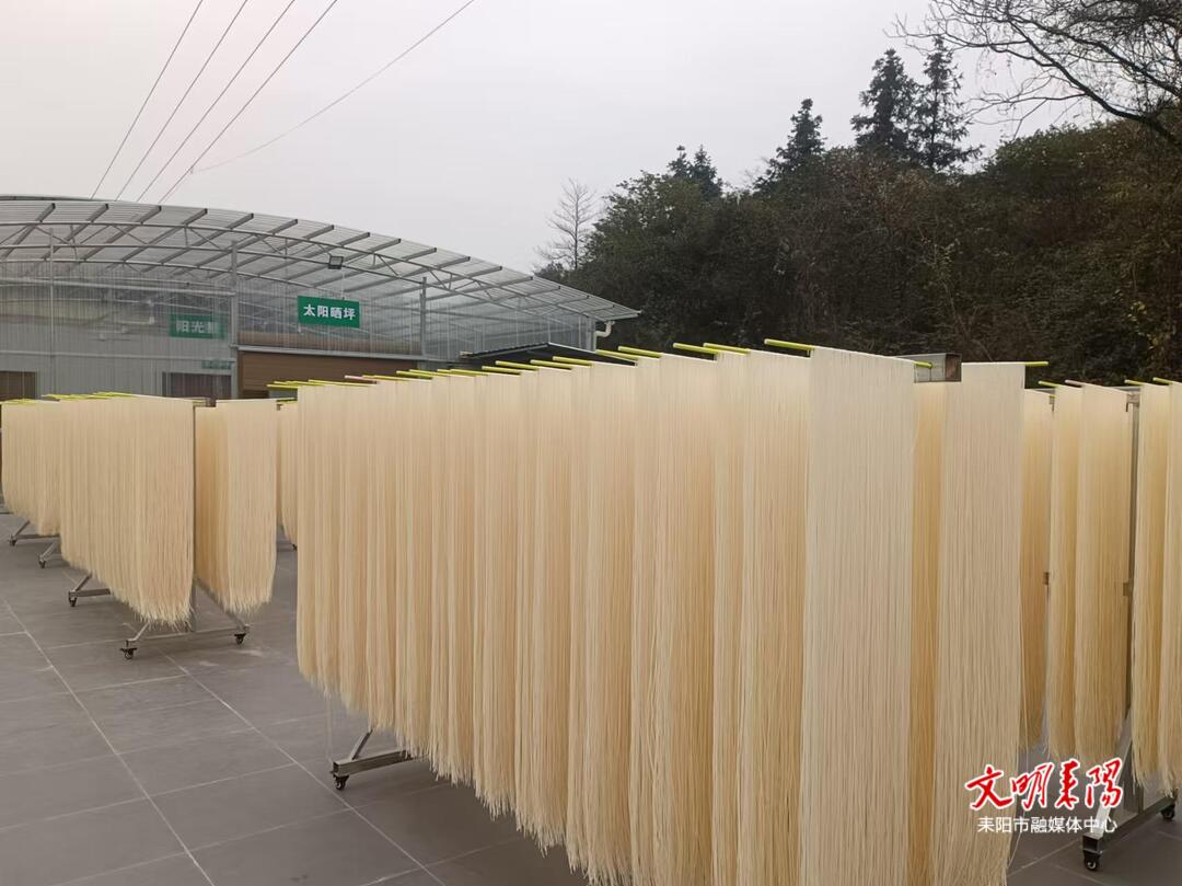 ​【耒水欢歌】仁义镇：小面条成就富民“大产业”