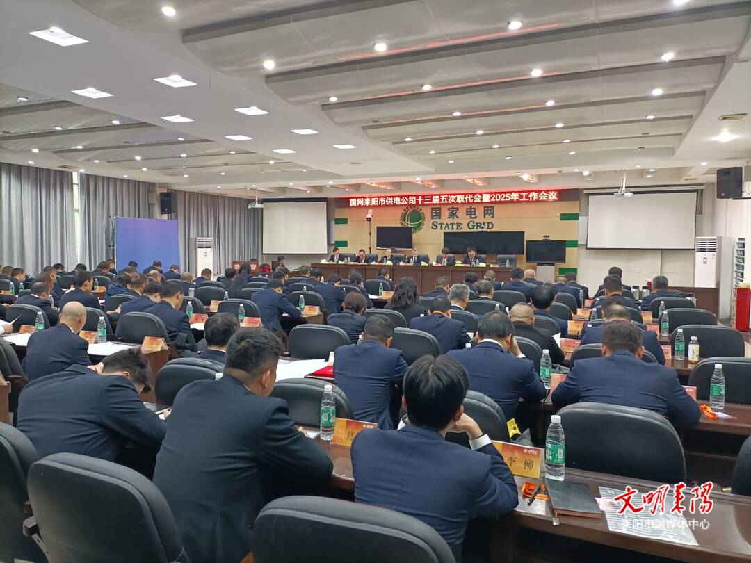 凝心聚力 实干担当 国网耒阳市供电公司全面部署2025年工作