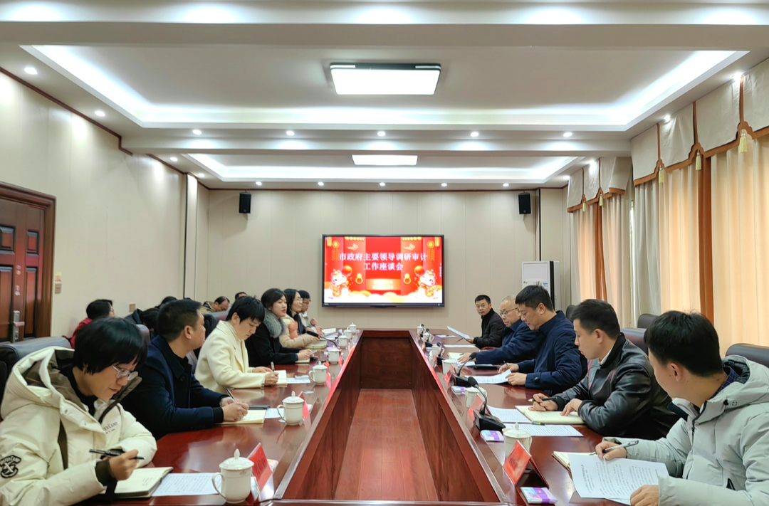 尹立鑫调研全市审计工作