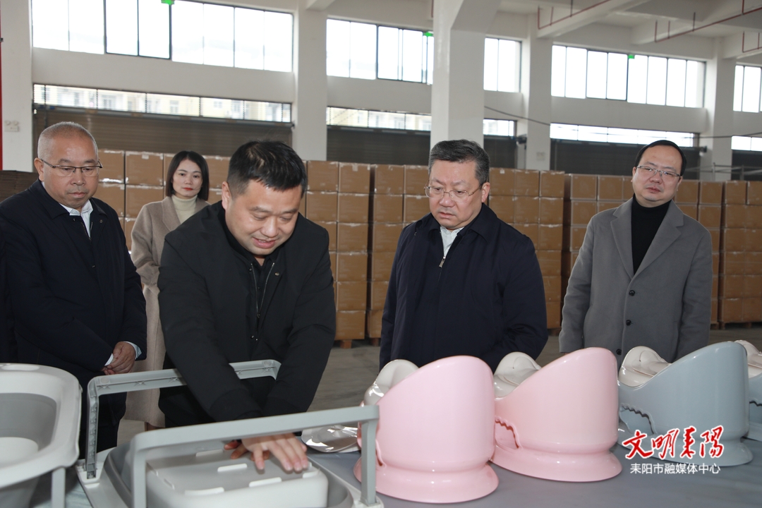 陈澎赴耒阳市调研：奋力推动县域经济高质量发展
