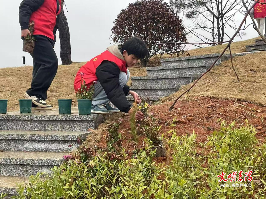 ​太平圩乡：学雷锋树新风 共建美丽家园