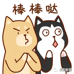 “耒阳医保”微信公众号正式上线啦！
