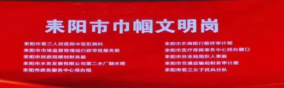 喜讯！耒阳市医疗保障事务中心经办窗口荣获“耒阳市巾帼文明岗”