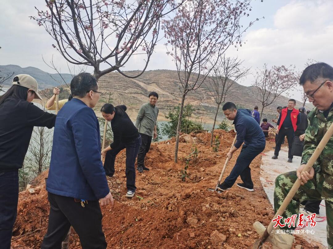 耒阳市政协开展义务植树活动