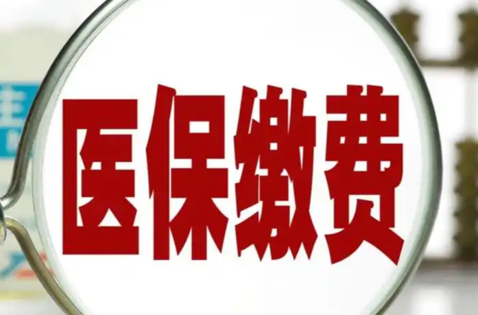 关于做好2025年度城乡居民基本医疗保险参保缴费工作的通知