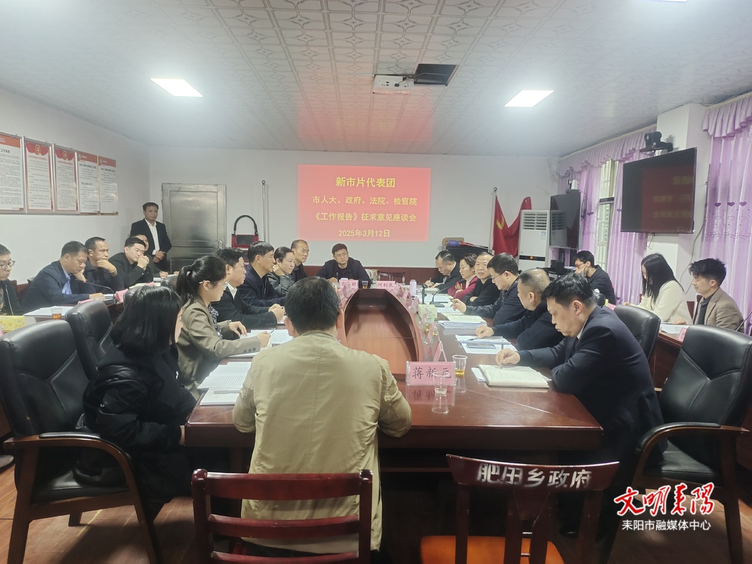 秦玉林、丁念明就市人大、“一府两院”工作报告征求新市片代表团意见和建议