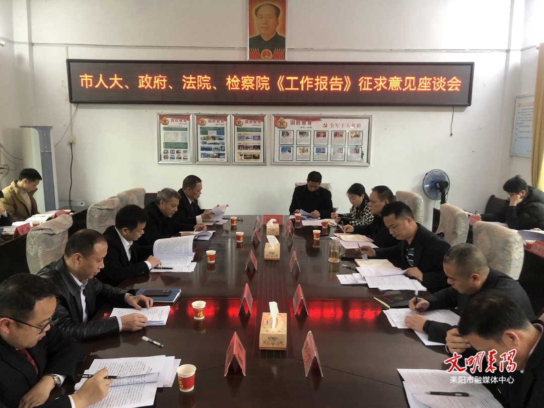 王子菲就人大、“一府两院”工作报告征求仁义片代表团意见建议