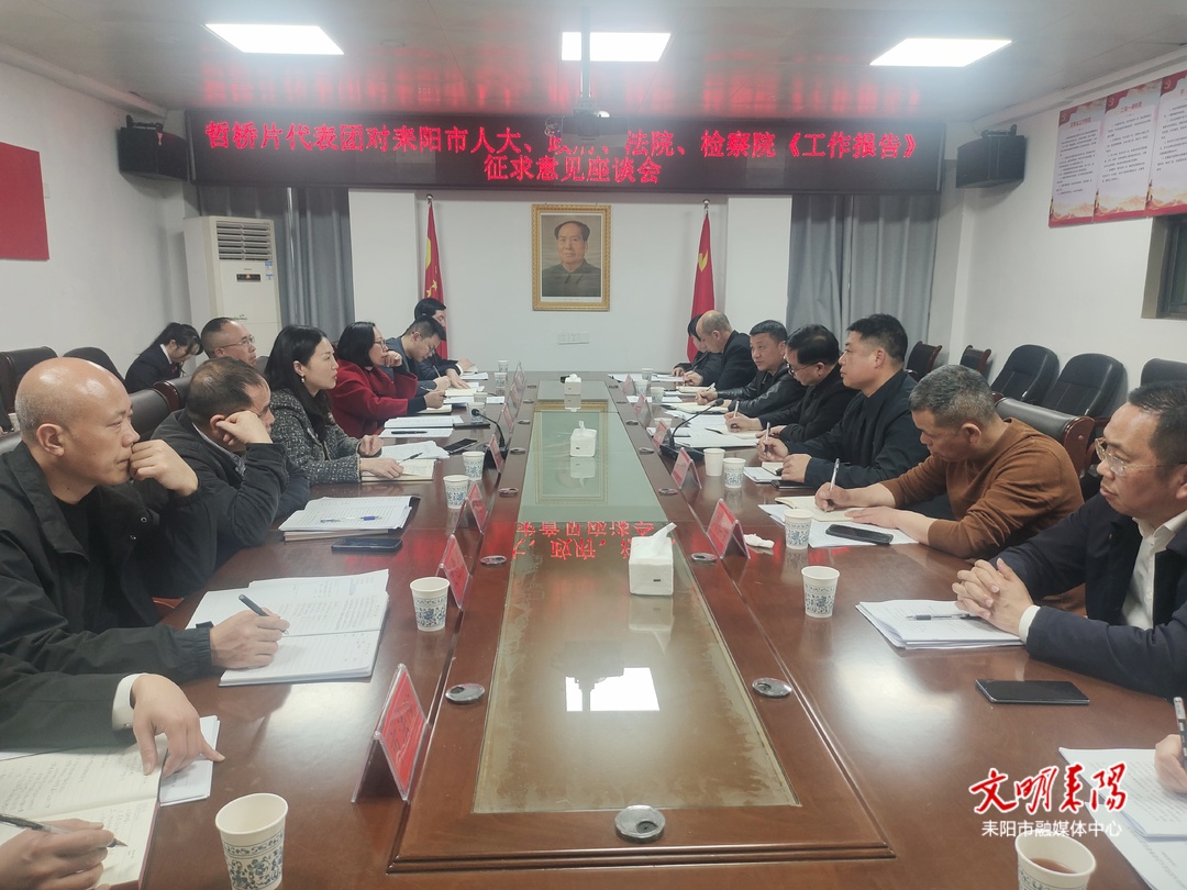 阳姣丽就市人大、“一府两院”工作报告征求哲桥片代表团意见和建议