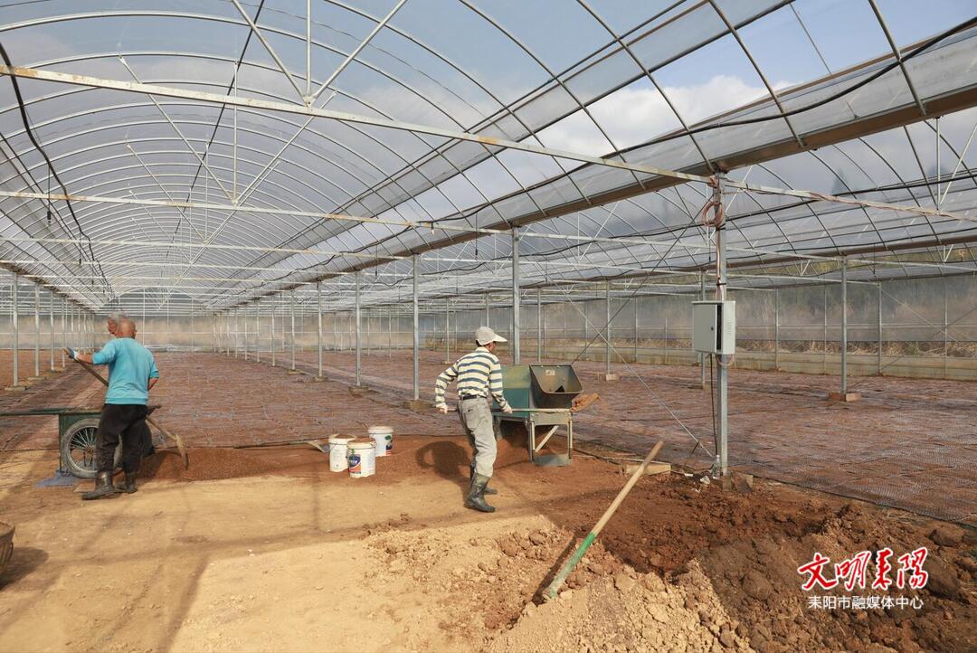 【耒水欢歌】余庆街道:抢农时提效率 万亩双季稻示范片加快推进