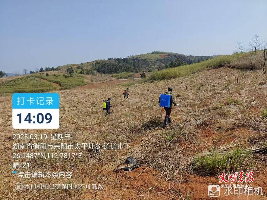 【人勤春来早】春至桃园农事忙，不负农时促增收