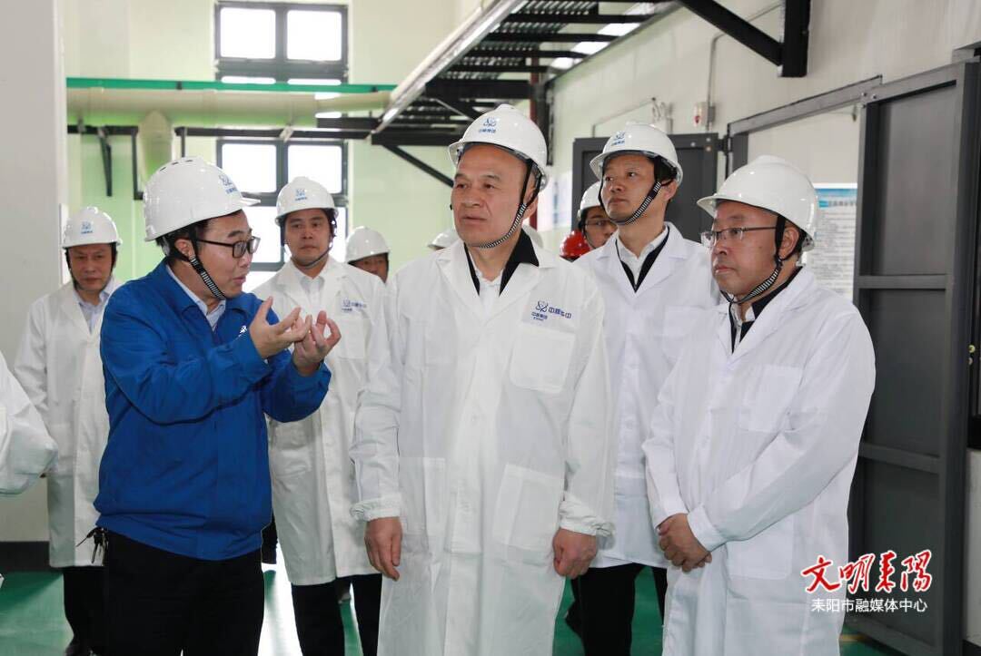 刘越高在耒阳市调研时强调：推动高质量发展走深走实行稳致远，全力挺进“全省十强”