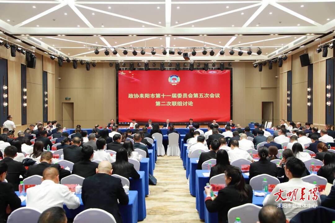 尹立鑫参加政协耒阳市十一届五次会议联组讨论