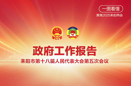 一图看懂！耒阳市2025年《政府工作报告》