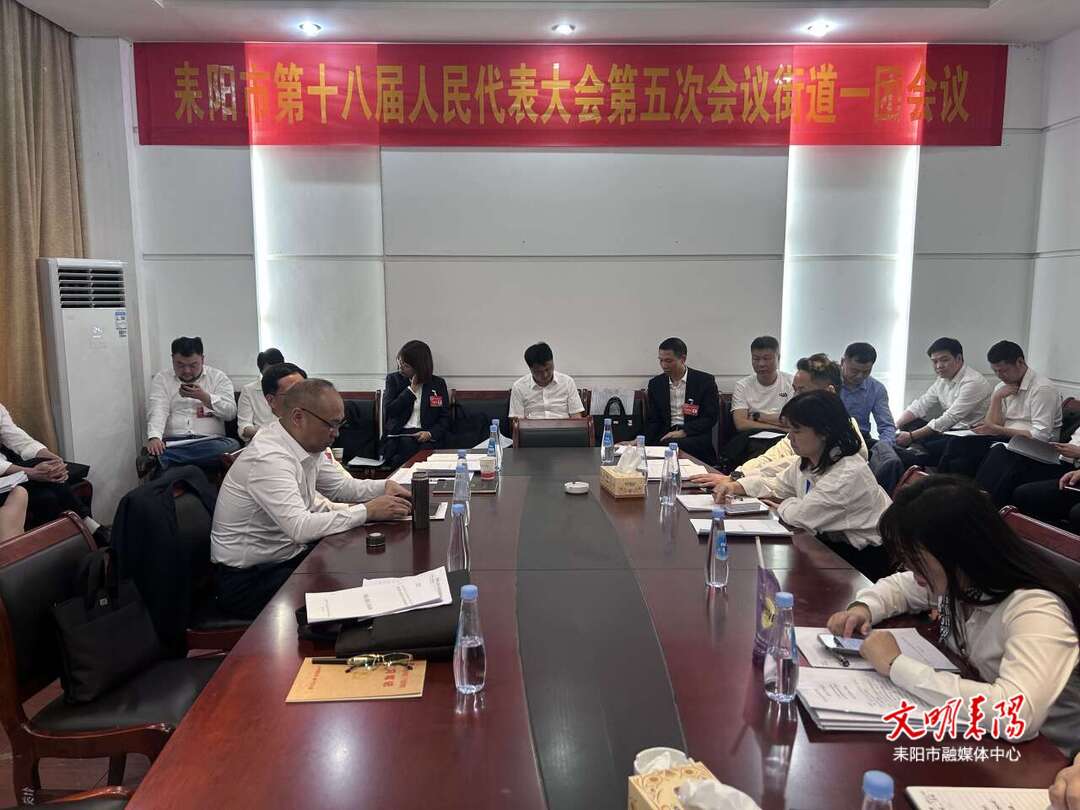 耒阳市第十八届人大五次会议代表团分组讨论《政府工作报告》