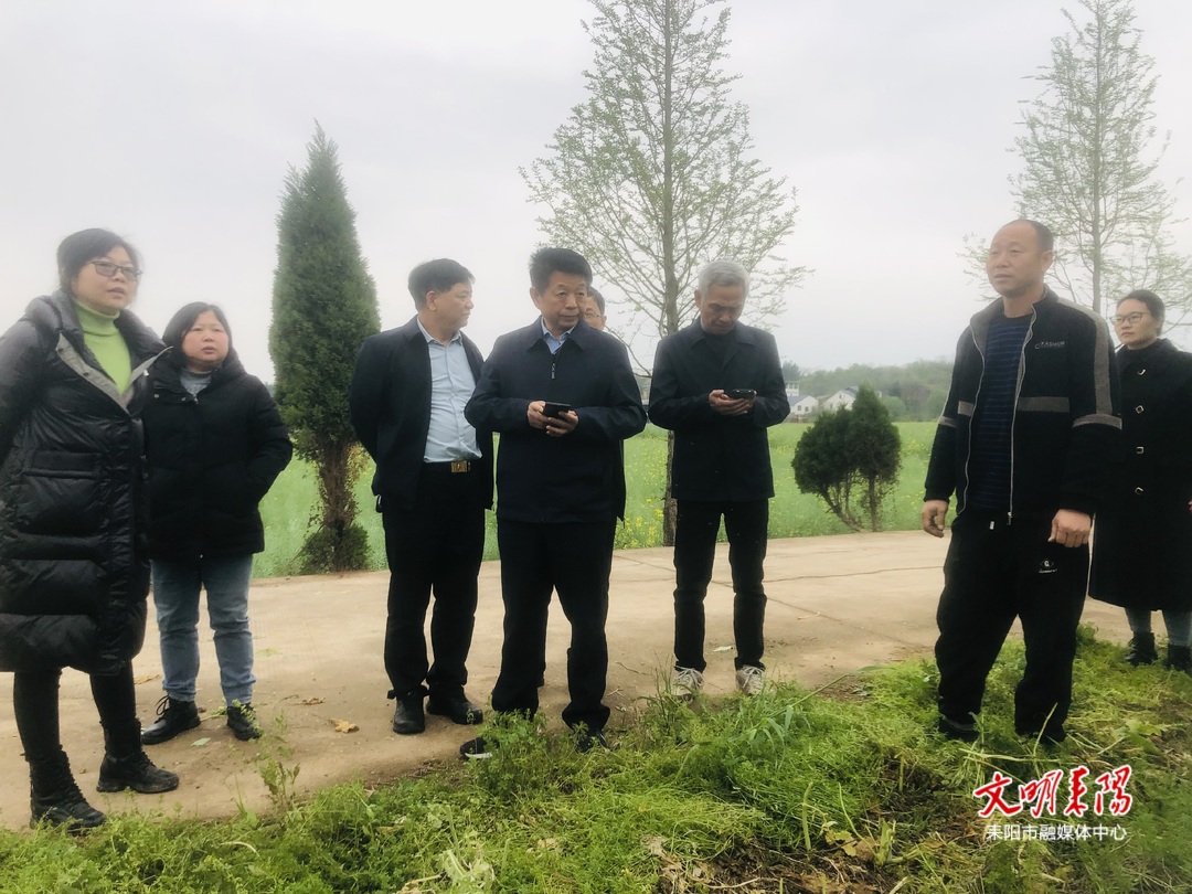 王汉中院士来耒调研早熟油菜示范情况