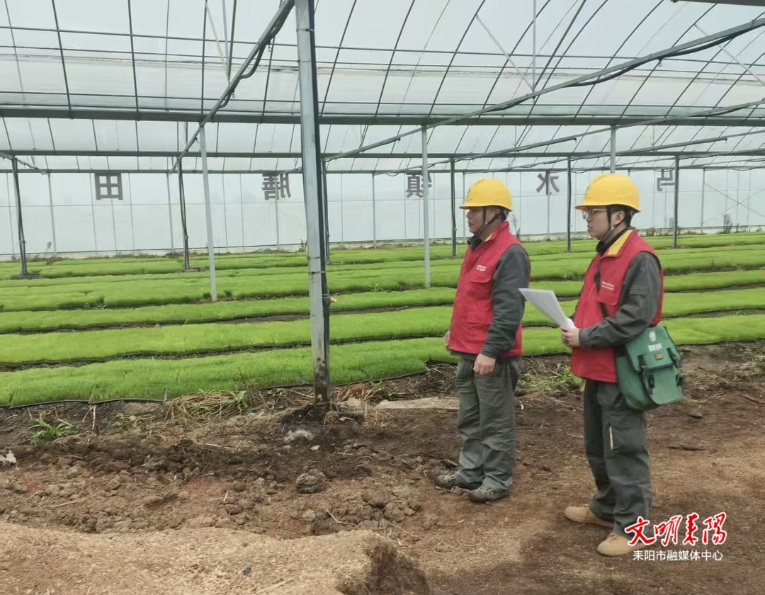 国网耒阳市供电公司全力护航集中育秧