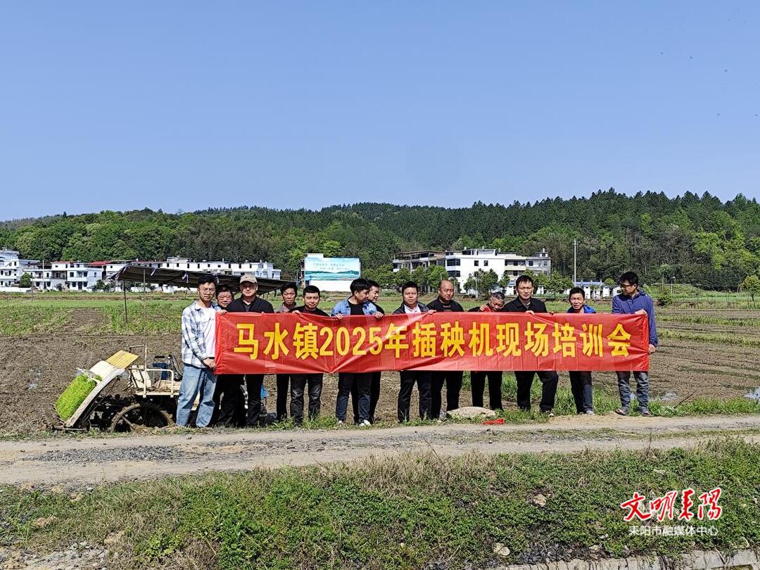 马水镇：机械“绣”春秧  科技“织”丰年