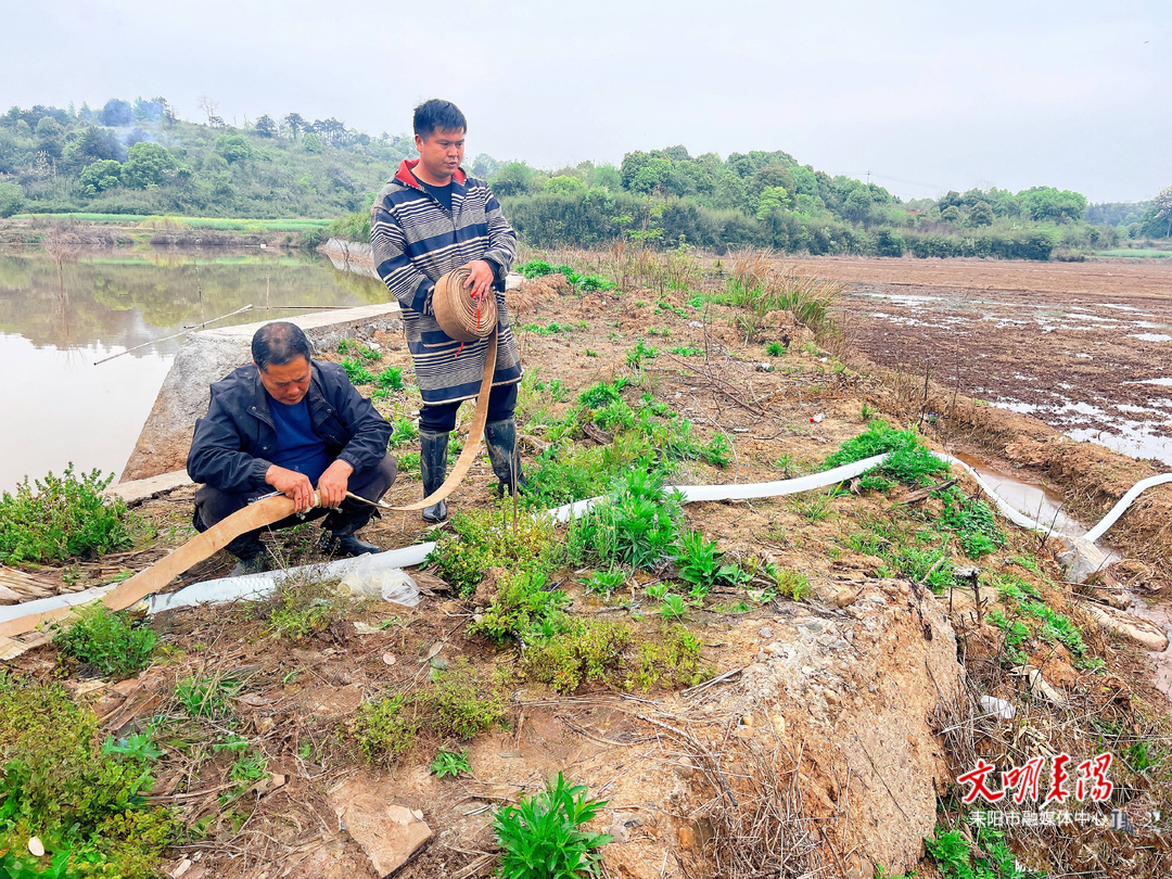 三架街道大丰村：水泵轰鸣战春旱 稻农挥汗保粮安