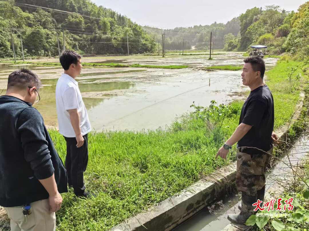夏塘镇：抢抓农时忙插秧 绘就农村好“丰”景