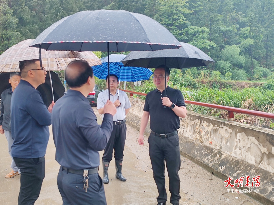 王星皓到马水镇调研春耕生产工作并开展巡河