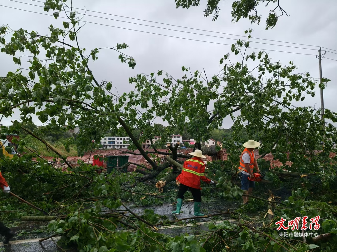 暴雨突袭耒阳致10处国省道受阻 多部门紧急抢通保畅