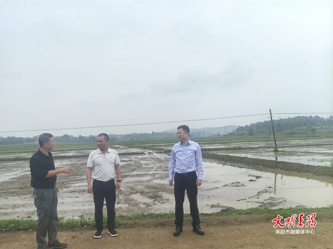 市领导到仁义镇督导春耕生产等当前重点工作