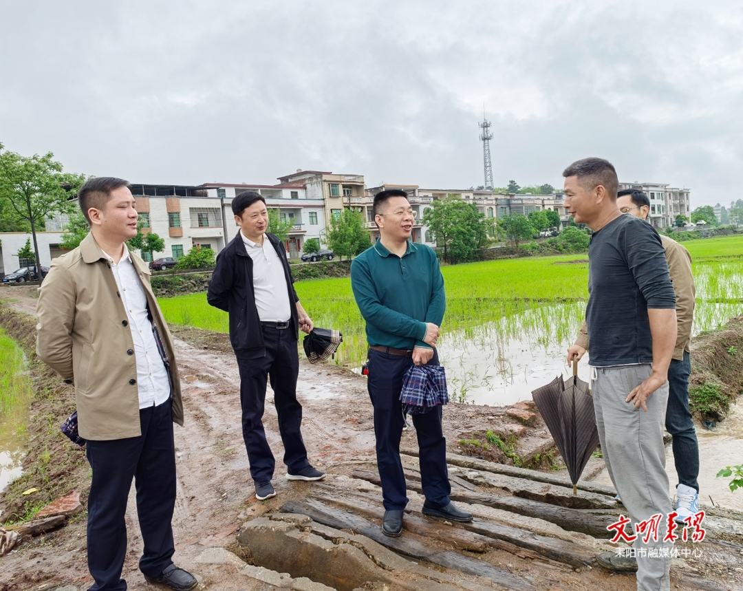 到田间地头寻找答案！耒阳市政协开展春耕生产调研