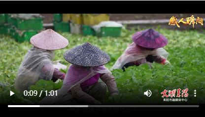 劳动的力量
